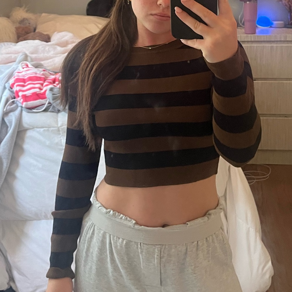 Brown and black striped Zara long sleeve top